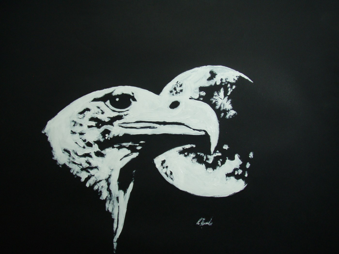White eagle silhouette against a black background
