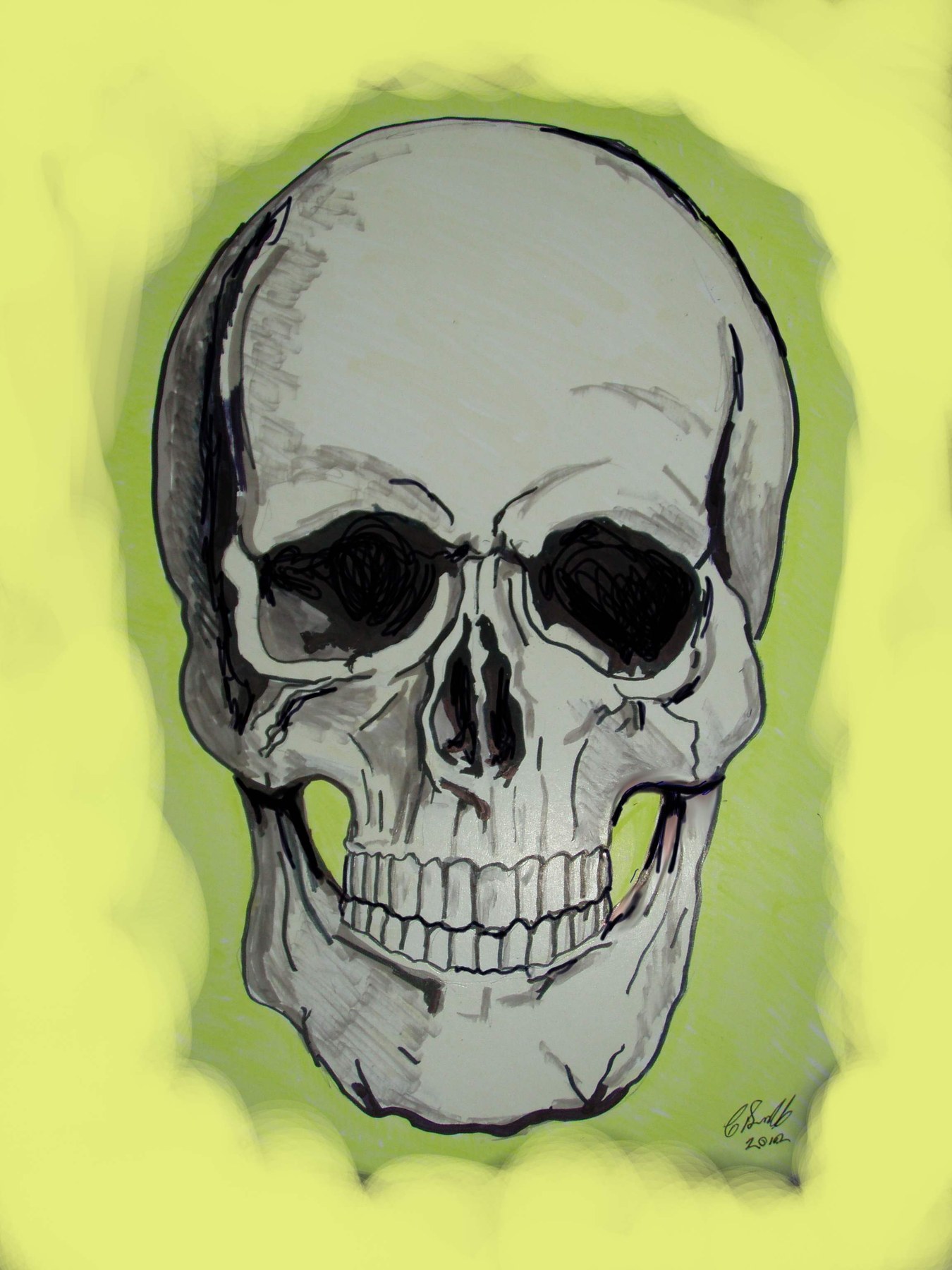 Skull illustration on a yellow background
