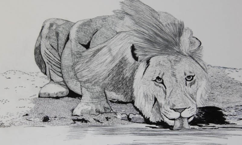 Pencil drawing